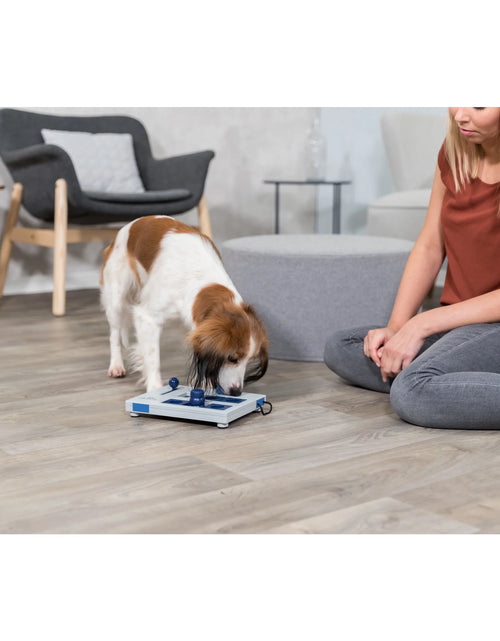 Load image into Gallery viewer, Dog Gambling Tower Strategy Game, Level 1, Beginner Dog Puzzle Toy, Treat Dispenser
