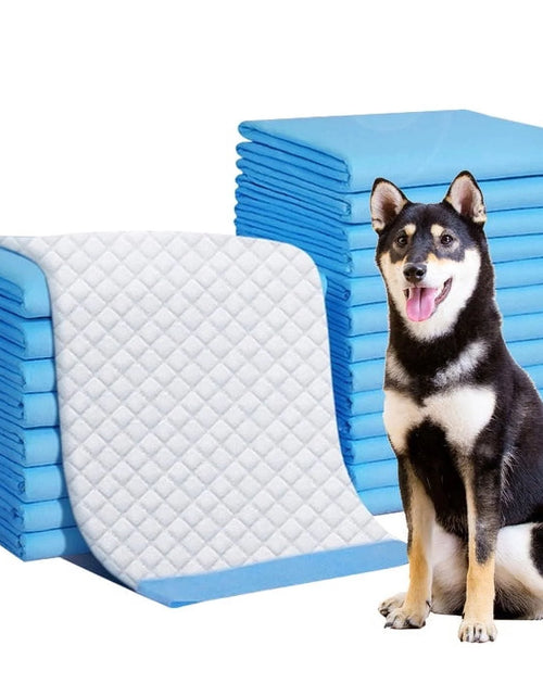 Load image into Gallery viewer, 150 Count Medium ( M 30" X 36") Super Absorbent Dog and Puppy Training Pads, Pet Diaper Pee Pads
