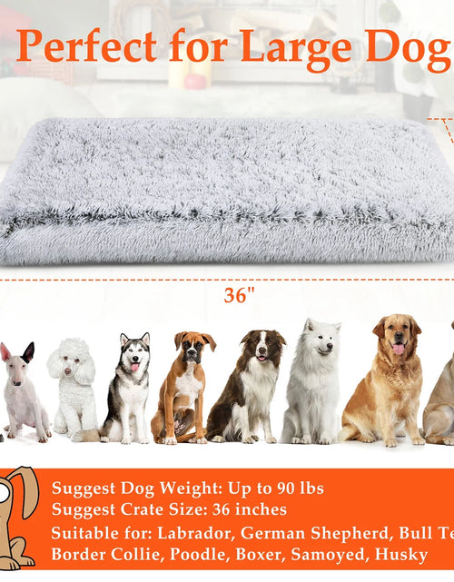 Load image into Gallery viewer, Dog Bed for Large Dogs, Washable Egg Crate Memory Foam Orthopedic Cozy Soft Long Plush Calming Pet Bed for Large Medium Size Dogs Crate, 36"X28", Gray
