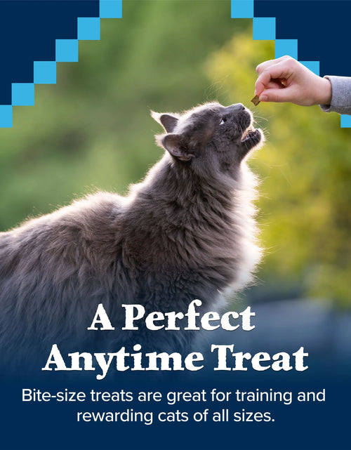 Load image into Gallery viewer, Wilderness Chicken &amp; Salmon Flavor Dry Soft Treats for Cats, Grain-Free, 2 Oz. Bag

