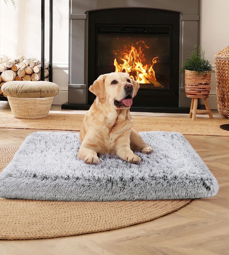 Dog Bed for Large Dogs, Washable Egg Crate Memory Foam Orthopedic Cozy Soft Long Plush Calming Pet Bed for Large Medium Size Dogs Crate, 36"X28", Gray
